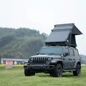 POLARIS PLUS