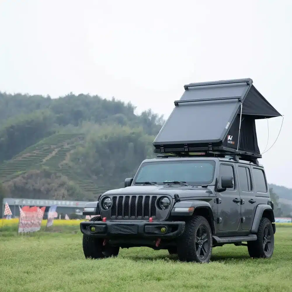 POLARIS PLUS – Image 2