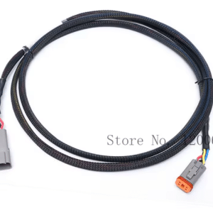 Rallonge faisceau LEDs